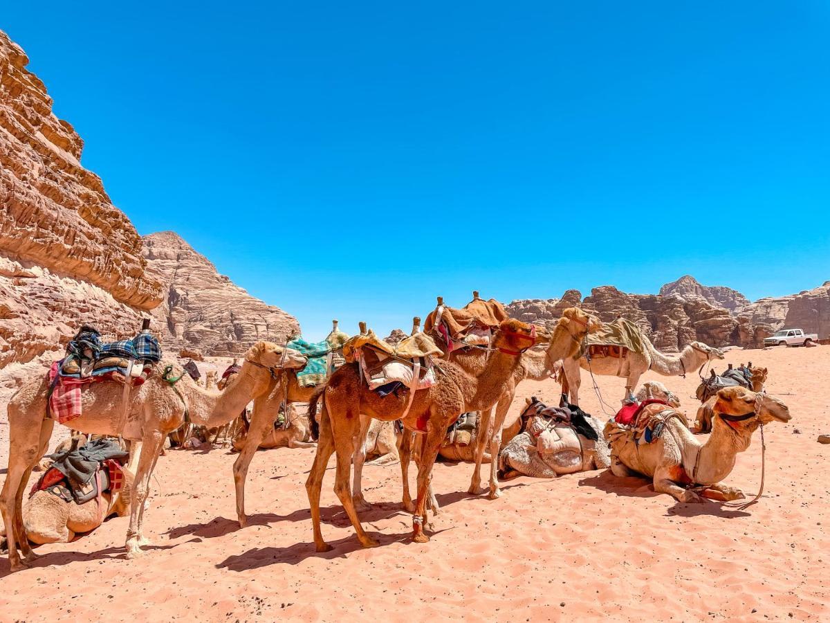 Rum Jordan Camp And Tours Hotel Wadi Rum Exterior photo